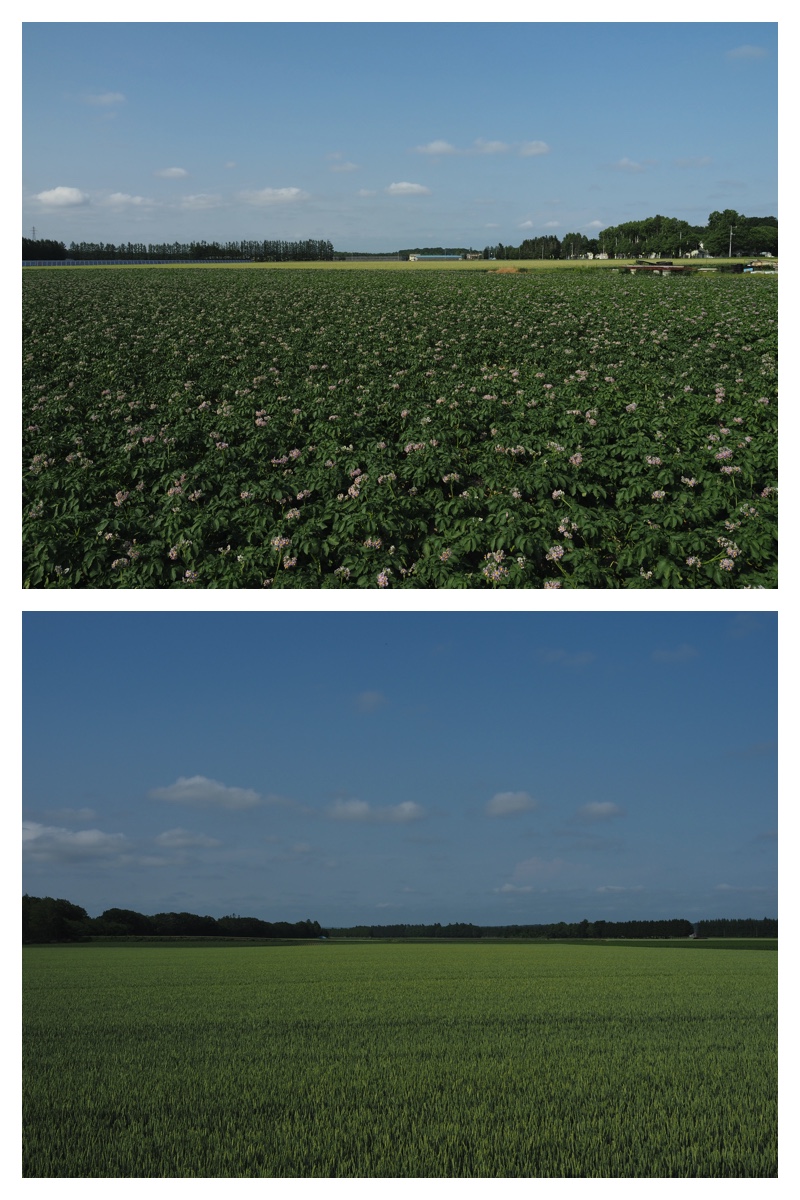 Walk_210630_2