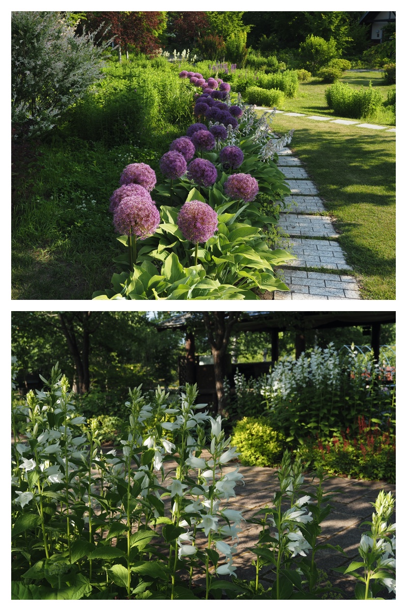 Walk_210630_20