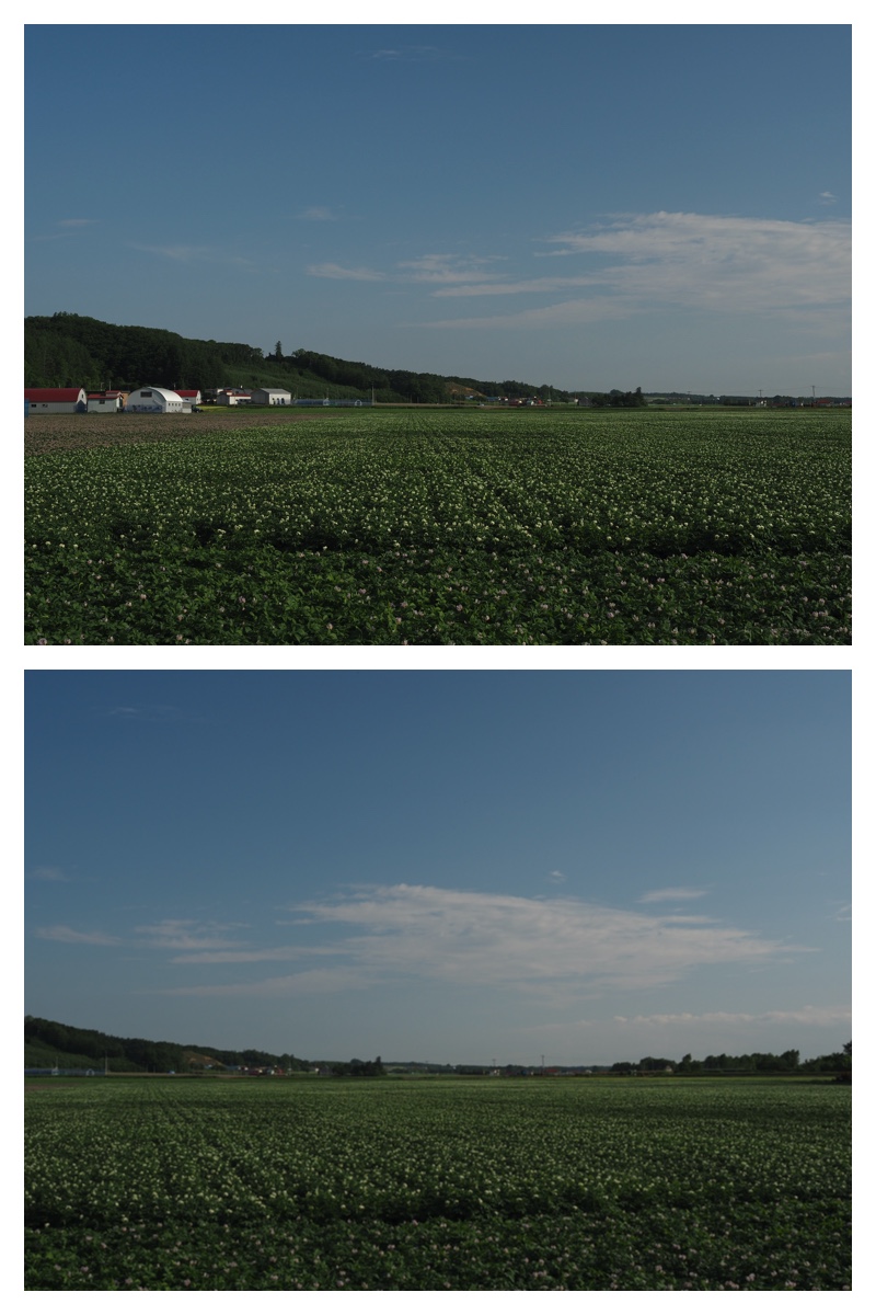 Walk_210630_22