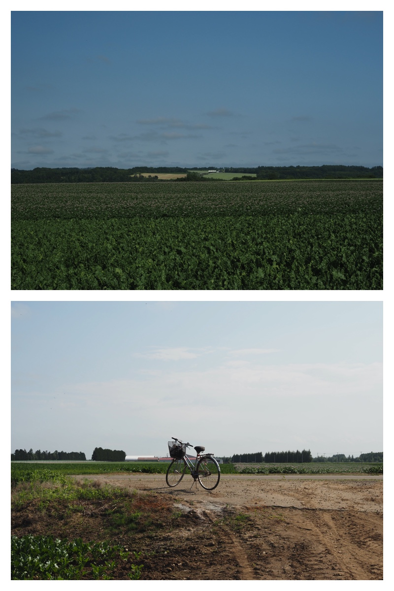 Walk_210630_4