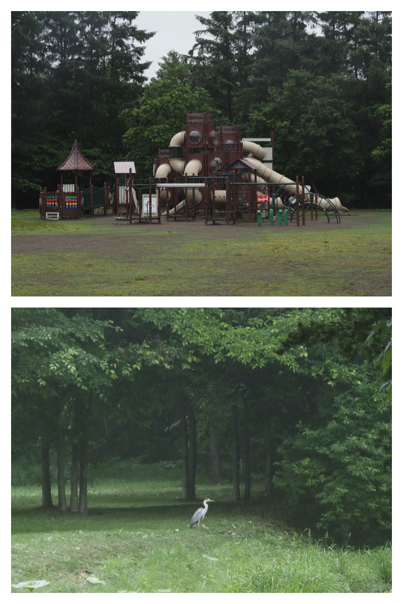 Walk_210705_1