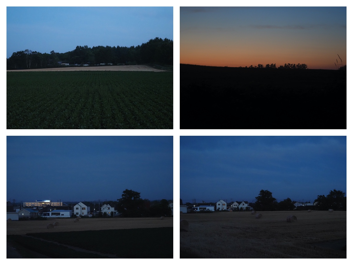 Walk_210726_4