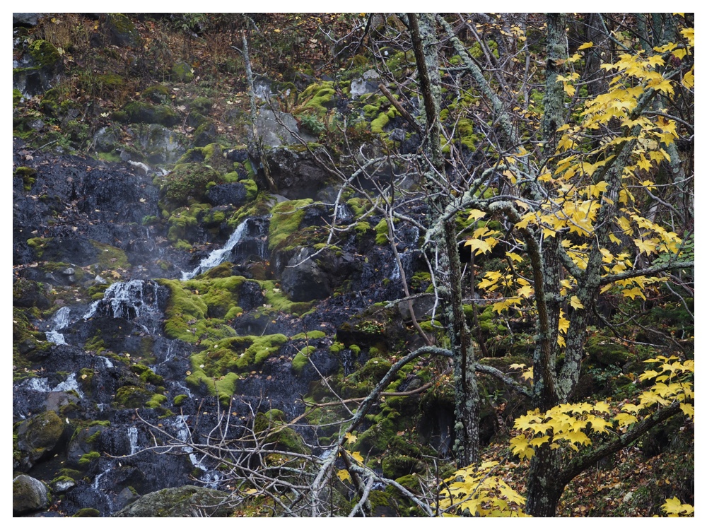 Onnetoh_211017_44
