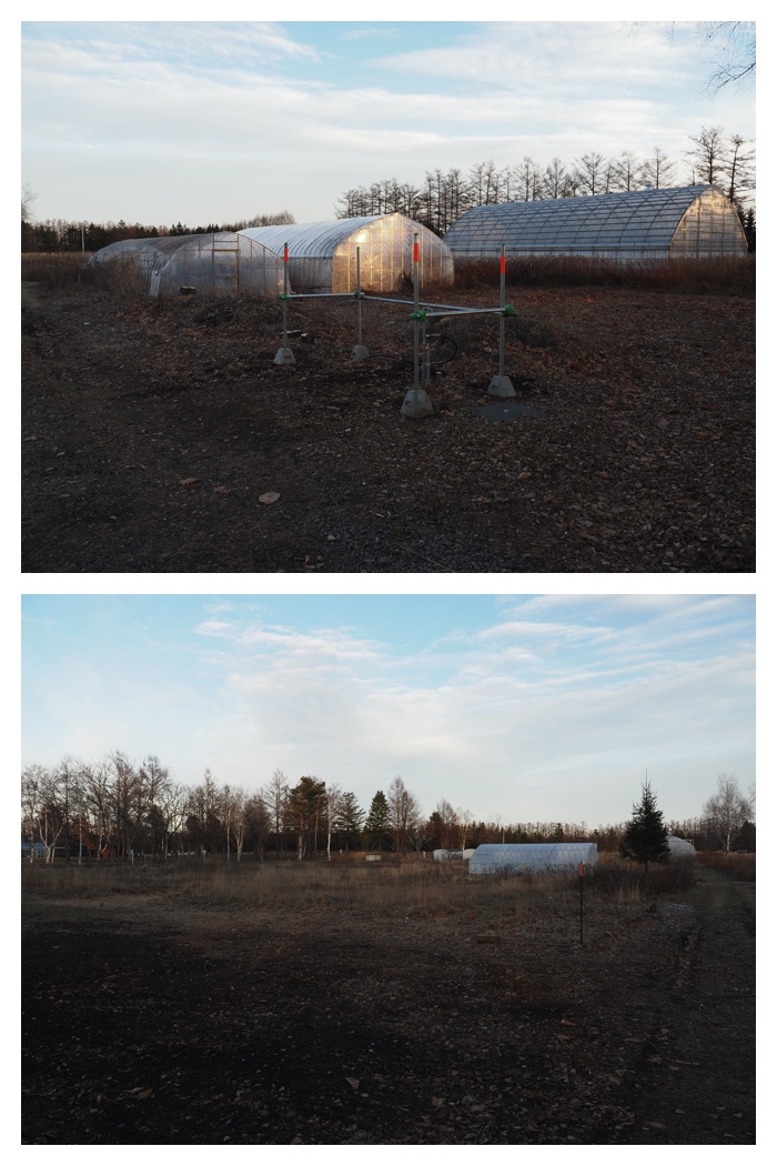 Walk_211206_6
