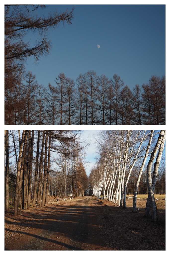 Walk_211213_4