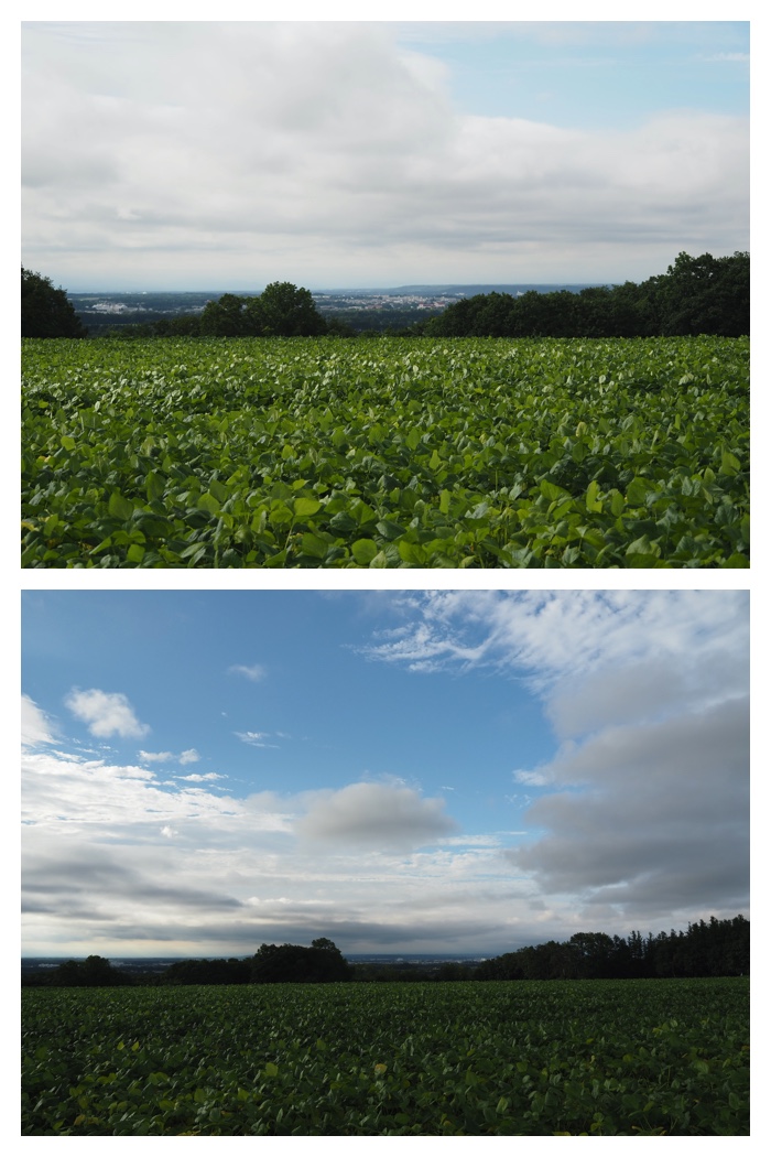 Hills_220901_5