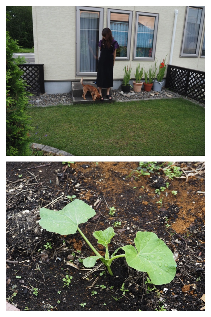 Home_220802_2