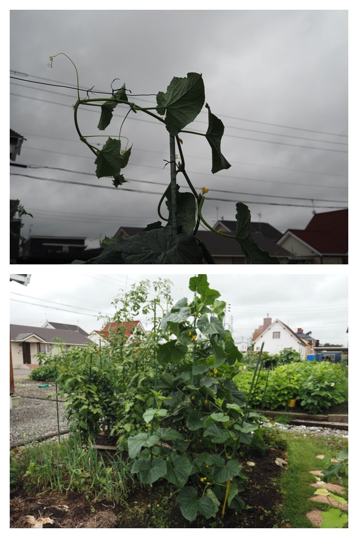 Home_220802_4