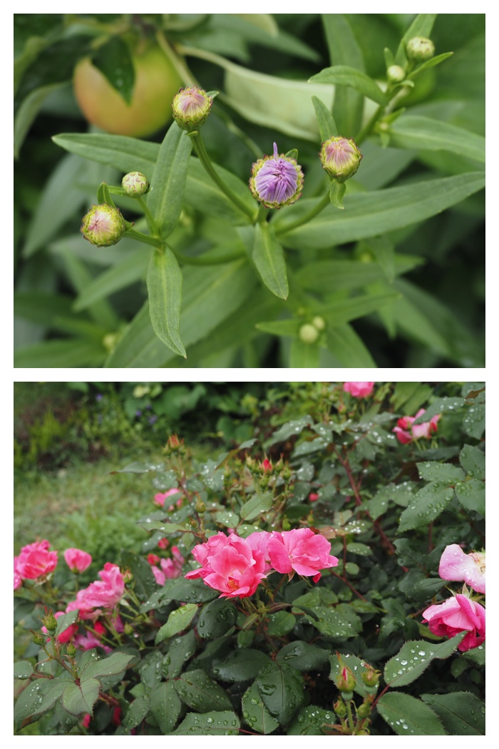 Home_220802_6