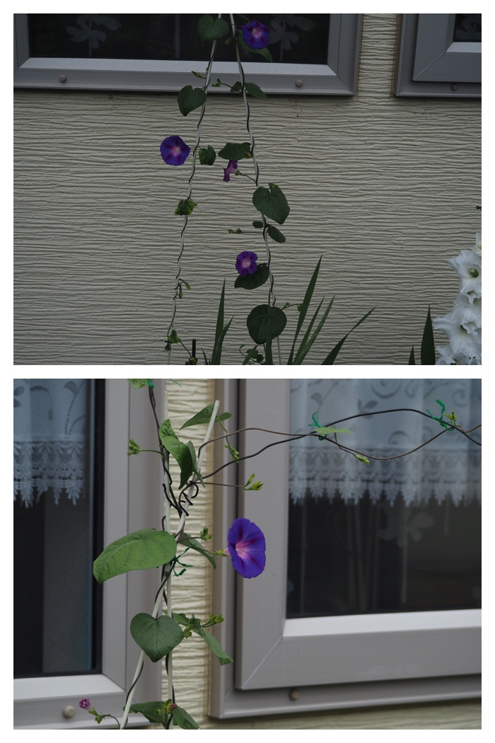 Home_220803_1