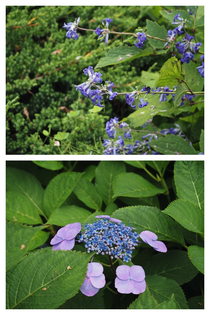 Manabe_220830_5