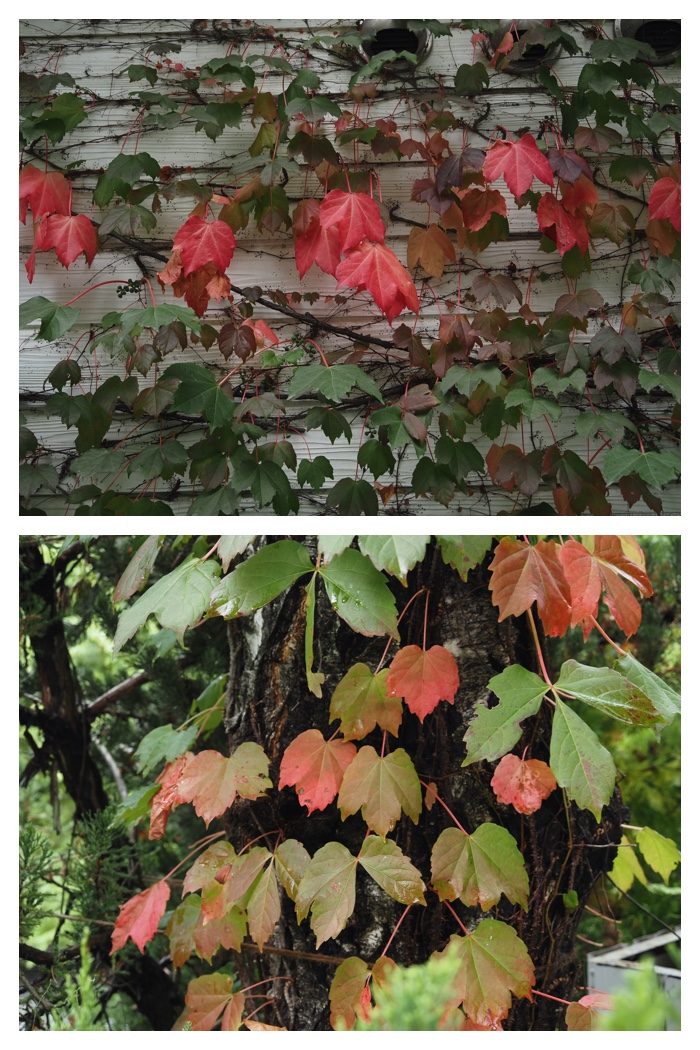 Manabe_220917_18