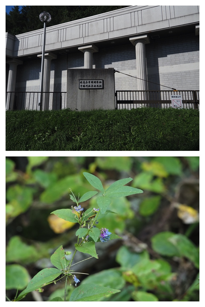 Tokachigawa_220908_11
