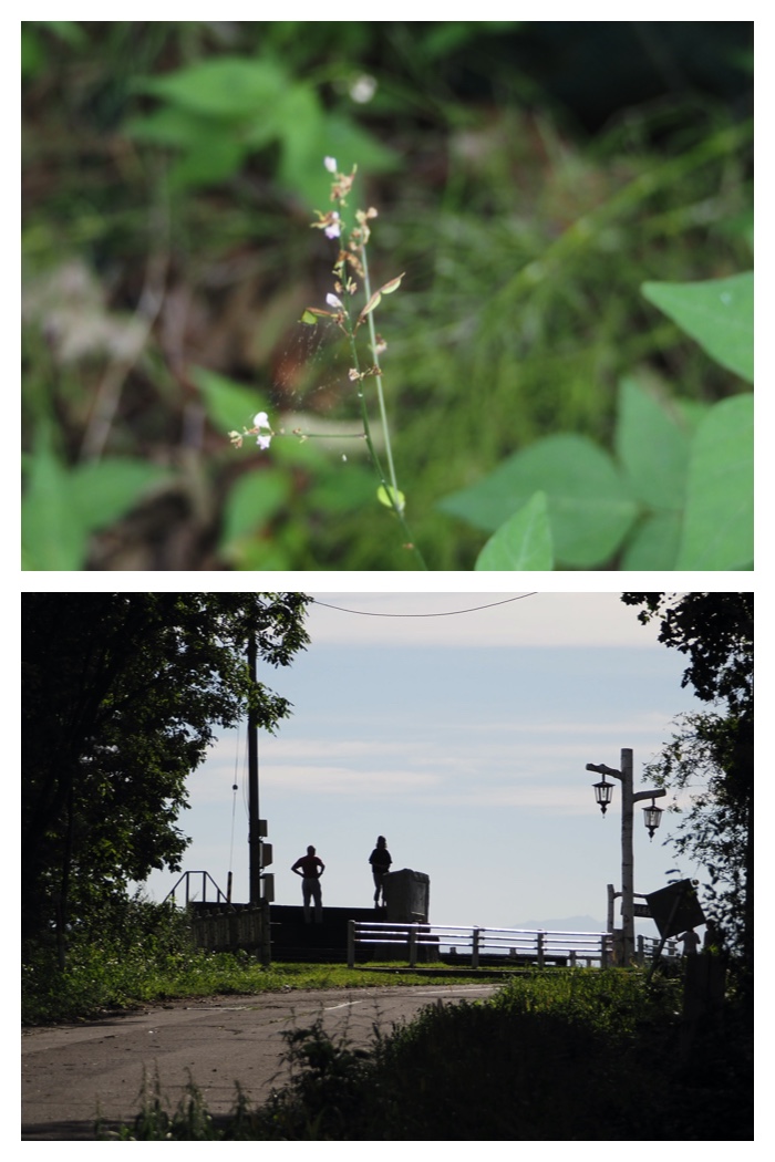 Tokachigawa_220908_21