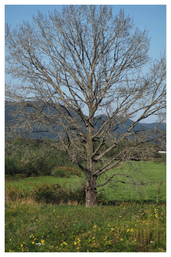 Toto_Eco_220926_12