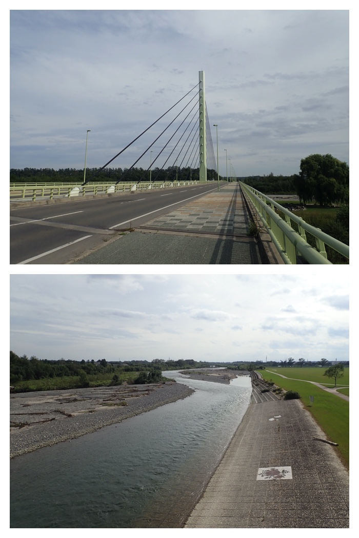 Totoroad_220914_1