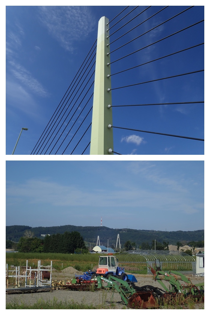 Totoroad_220914_2