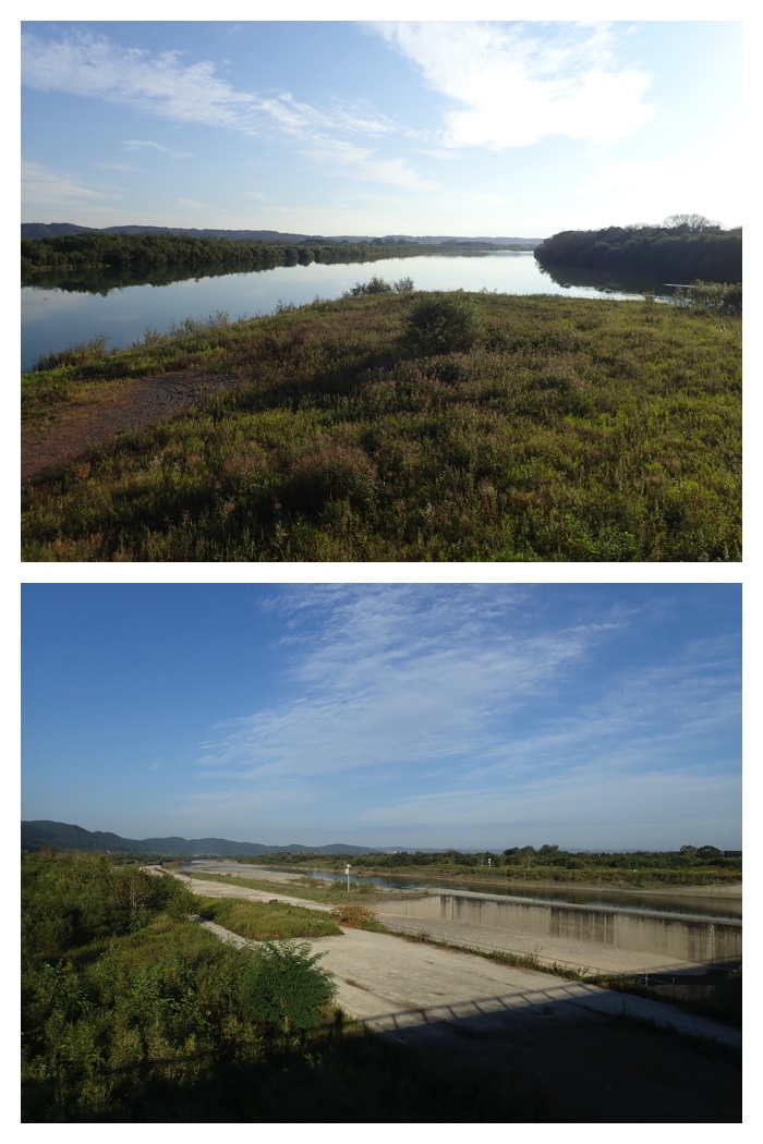 Totoroad_220914_20
