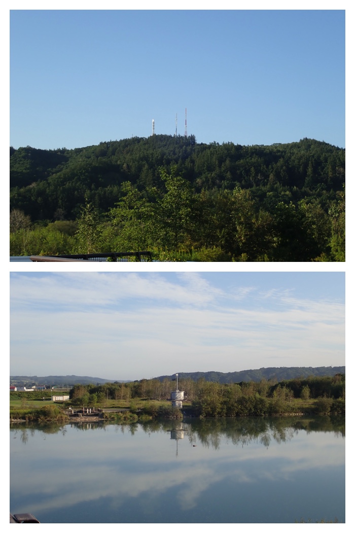 Totoroad_220914_21