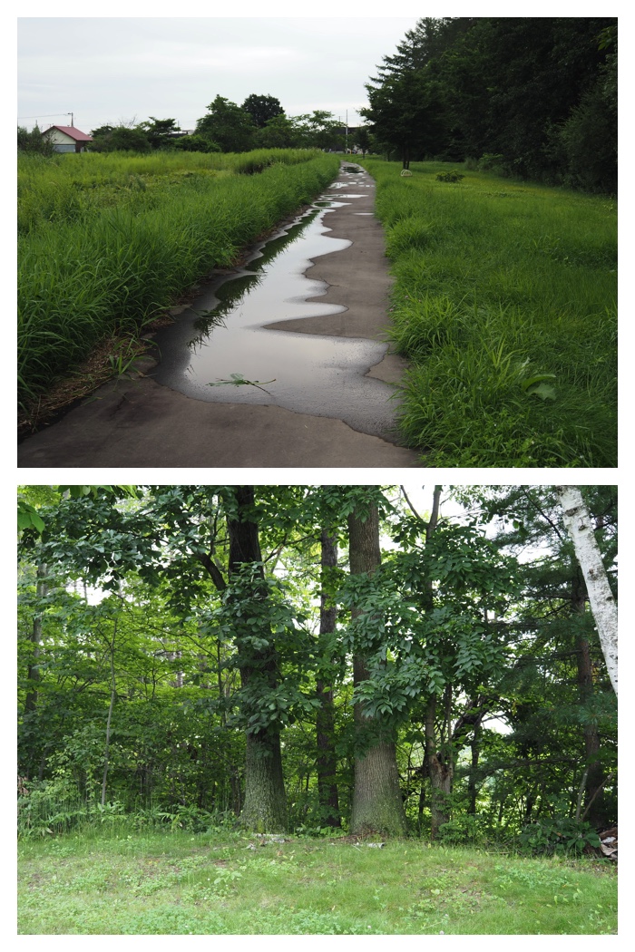 Walk_220809_4