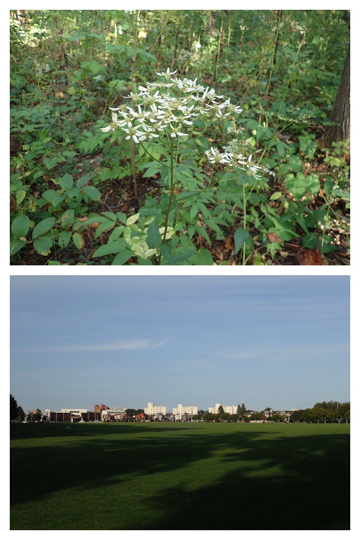 Walk_220915_10