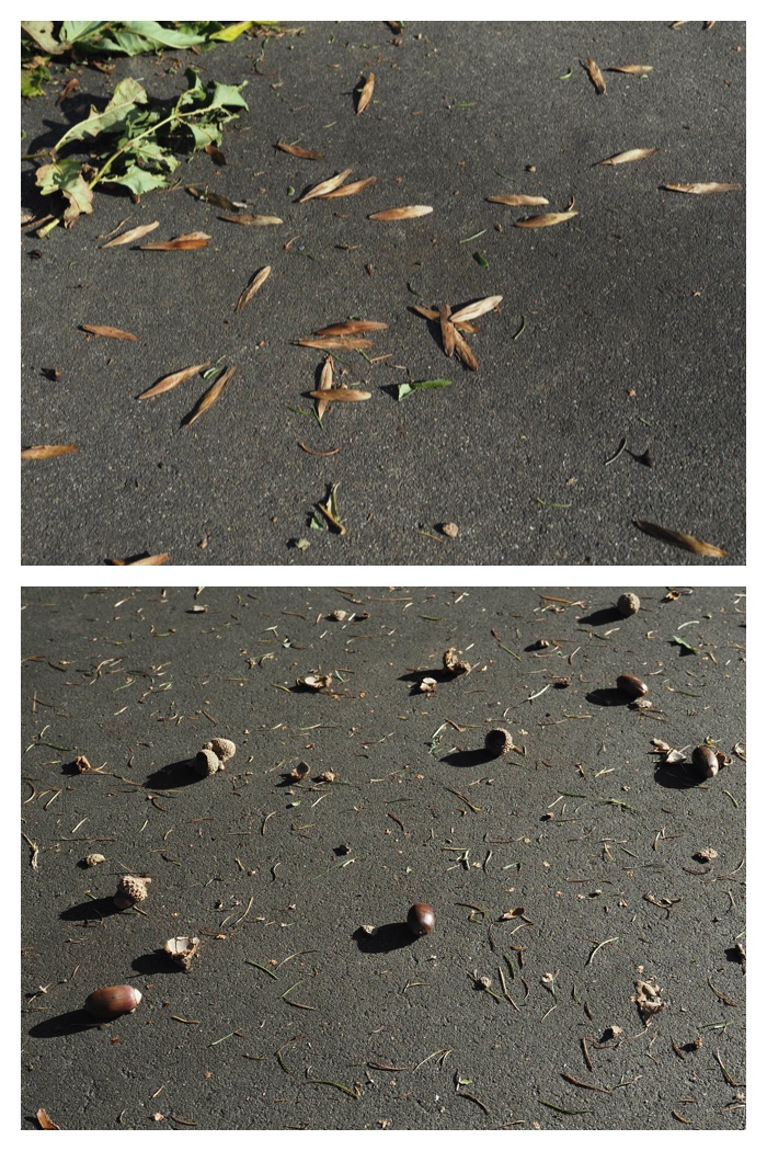 Walk_220920_2