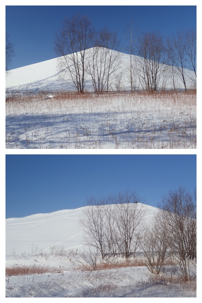 Ezorisu_220122_4