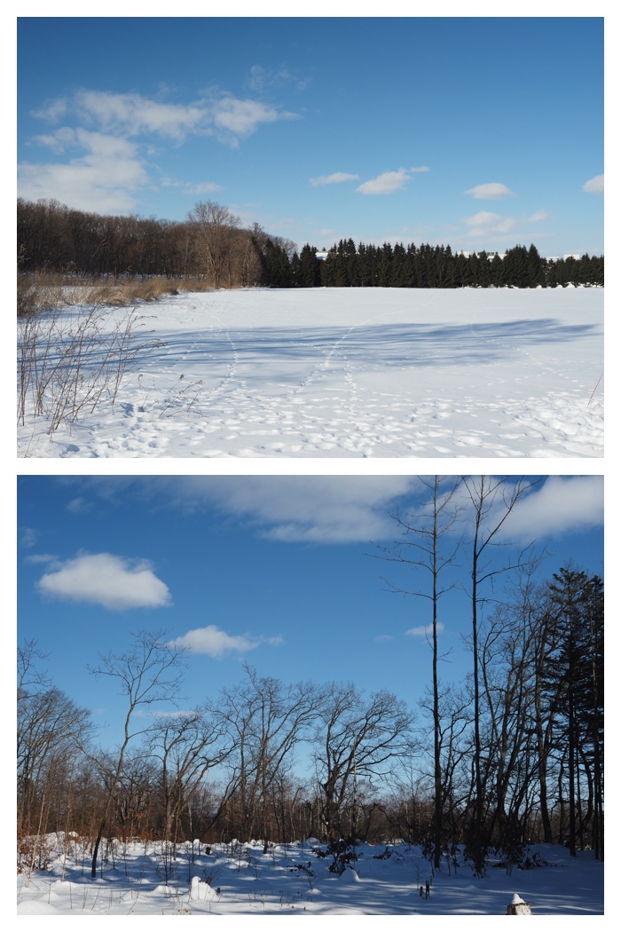 Walk_220204_3