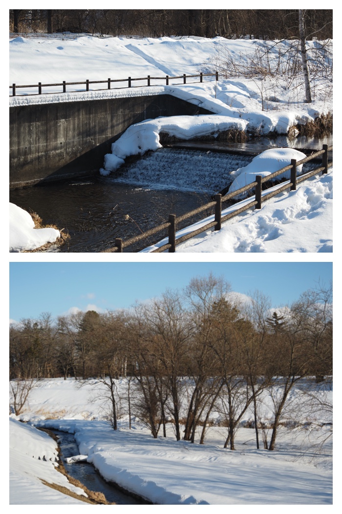 Walk_220308_3