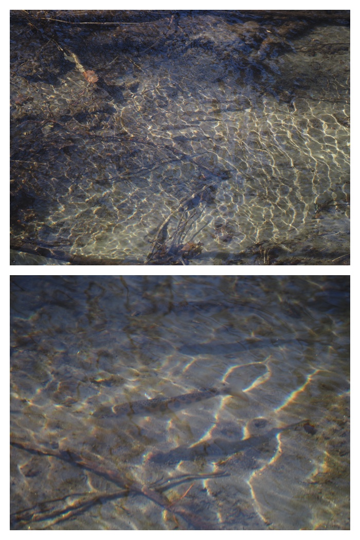 Walk_220312_1