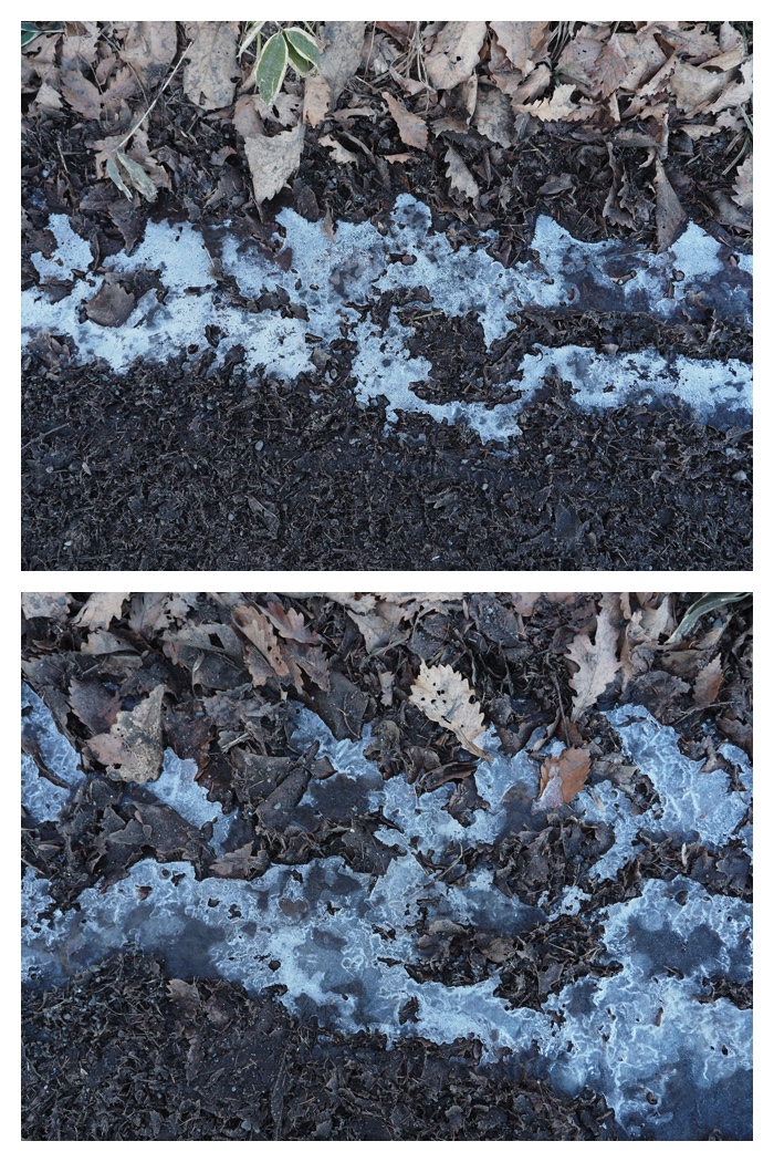 Cold-day_221202_11