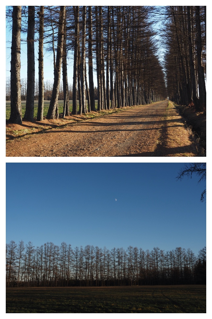 Cold-day_221202_13