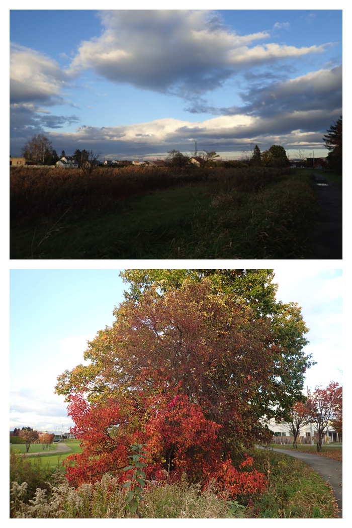 Red_yellow_221018_4