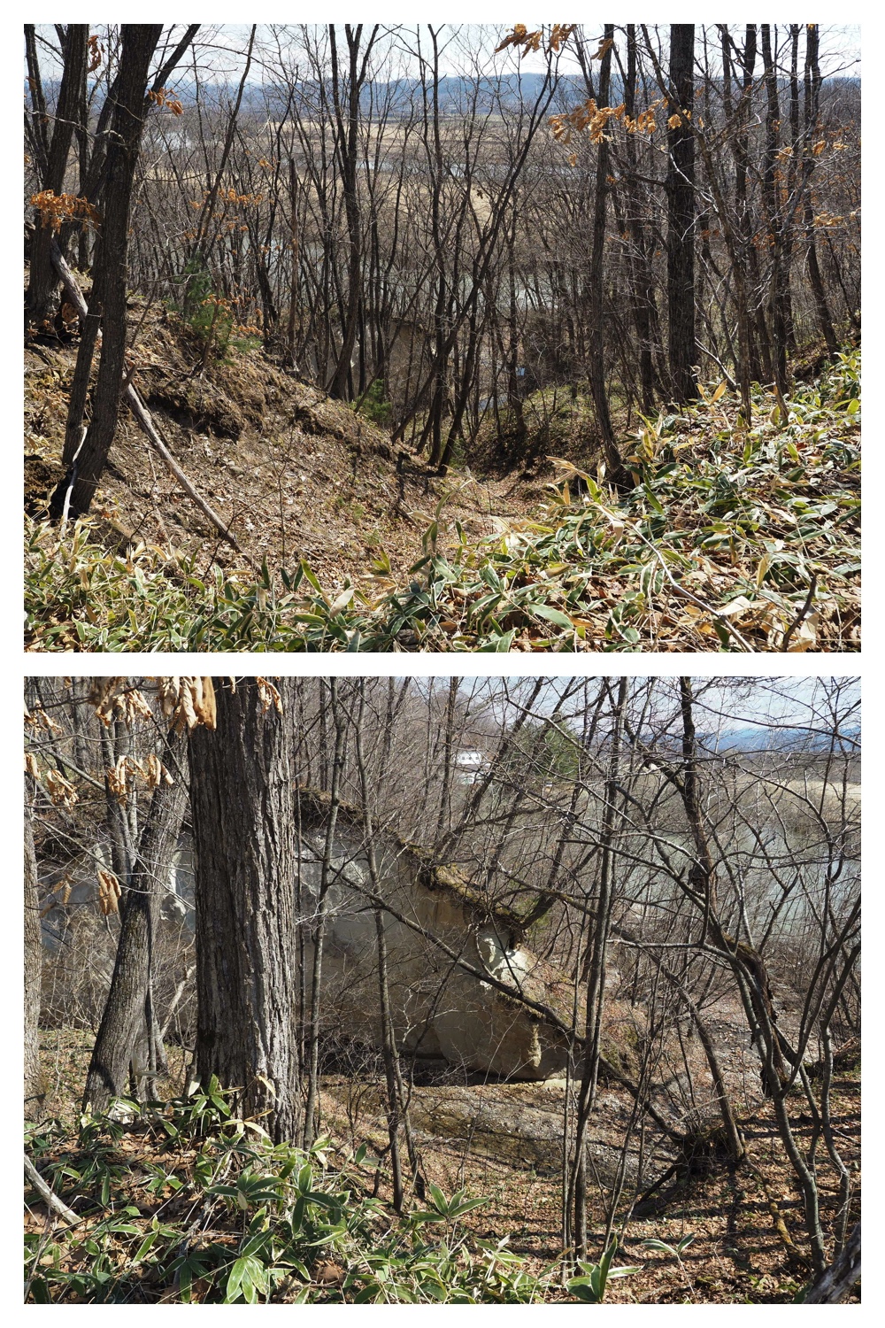 Chietoi_230401_4
