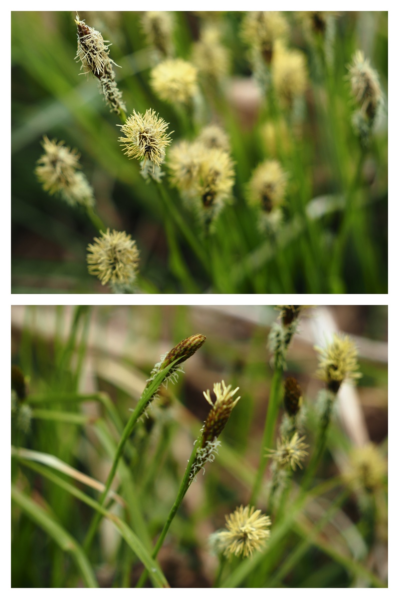 Chou_230429_12