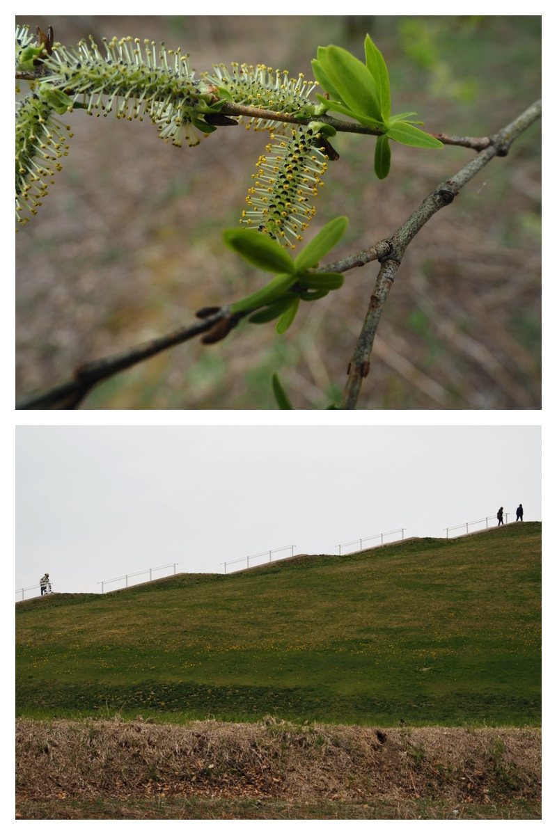 Chou_230429_13