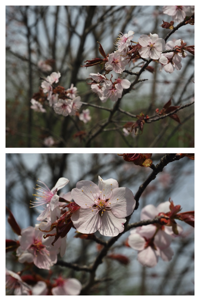 Chou_230429_20