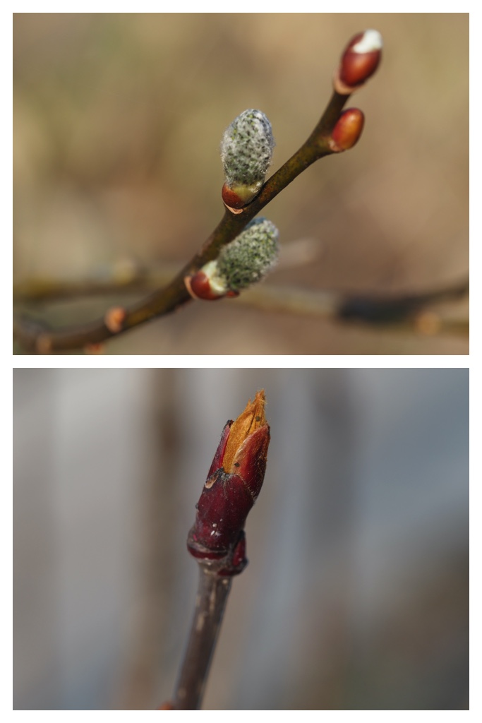 Ephemeral_230405_18