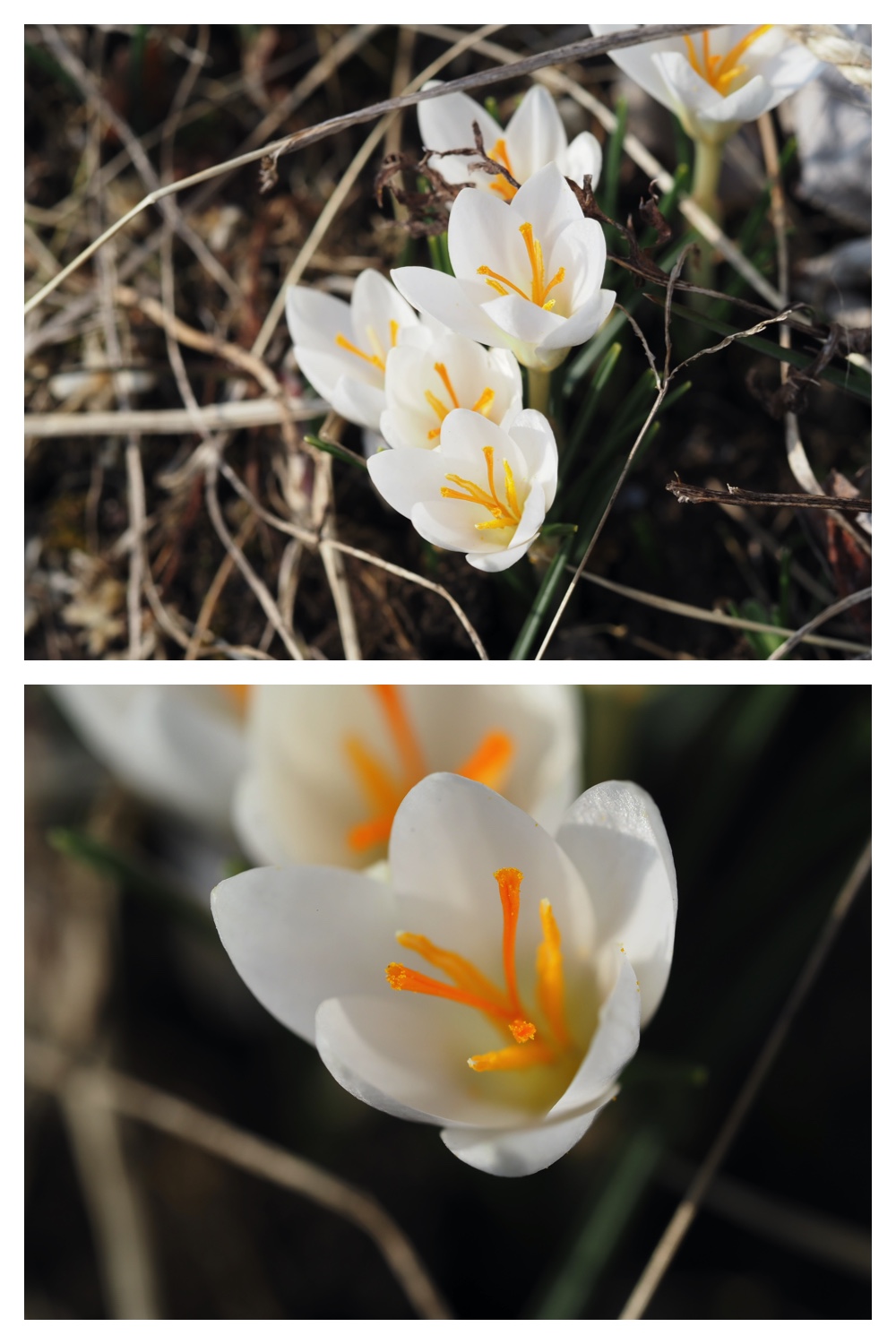 Ephemeral_230405_2