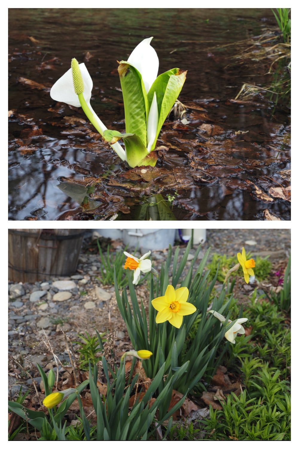 Green_230414_8
