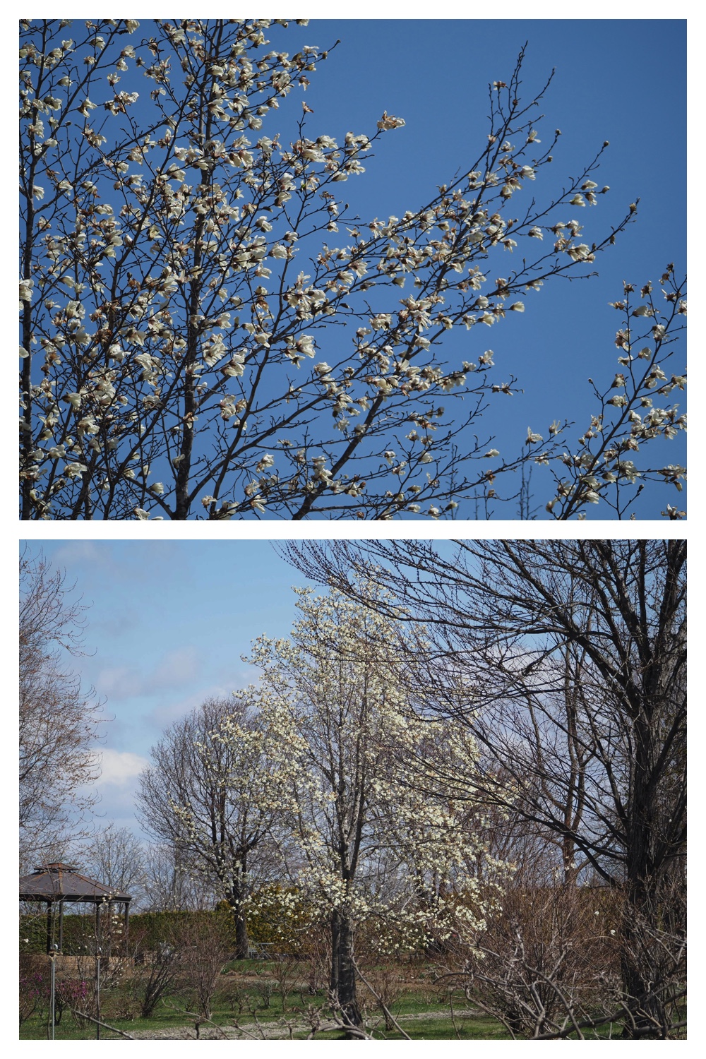 Hills_230422_12