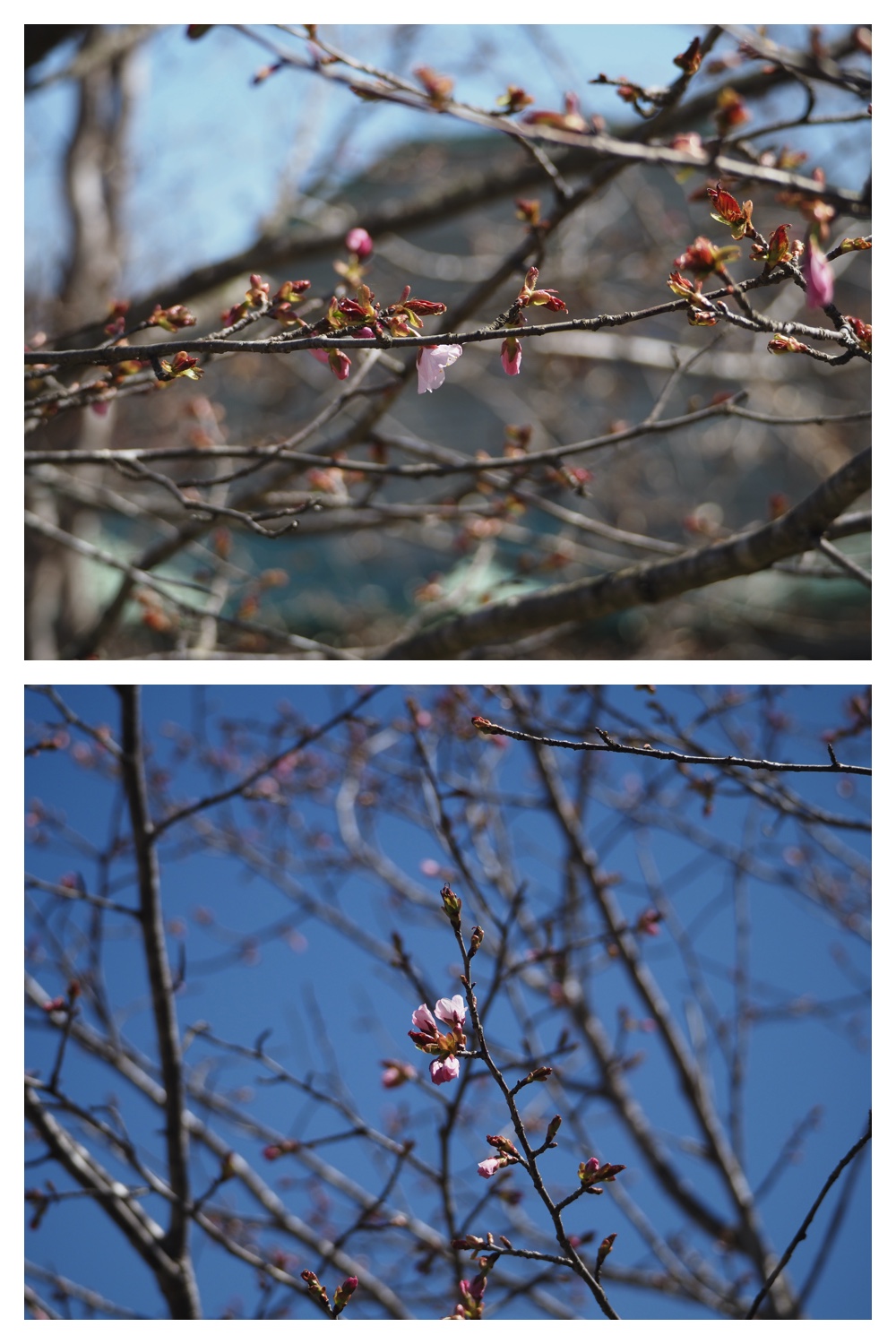 Hills_230422_13