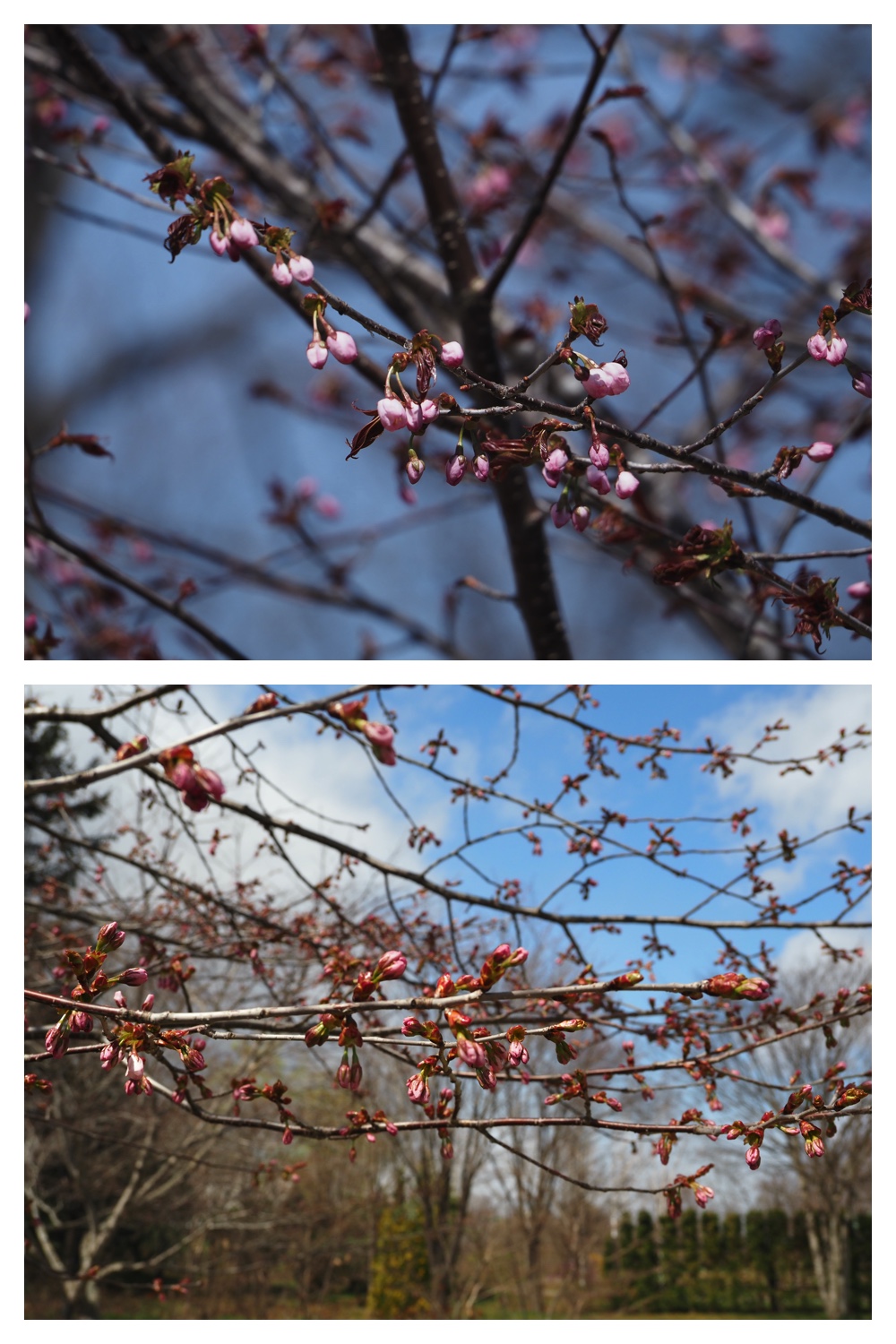 Hills_230422_15