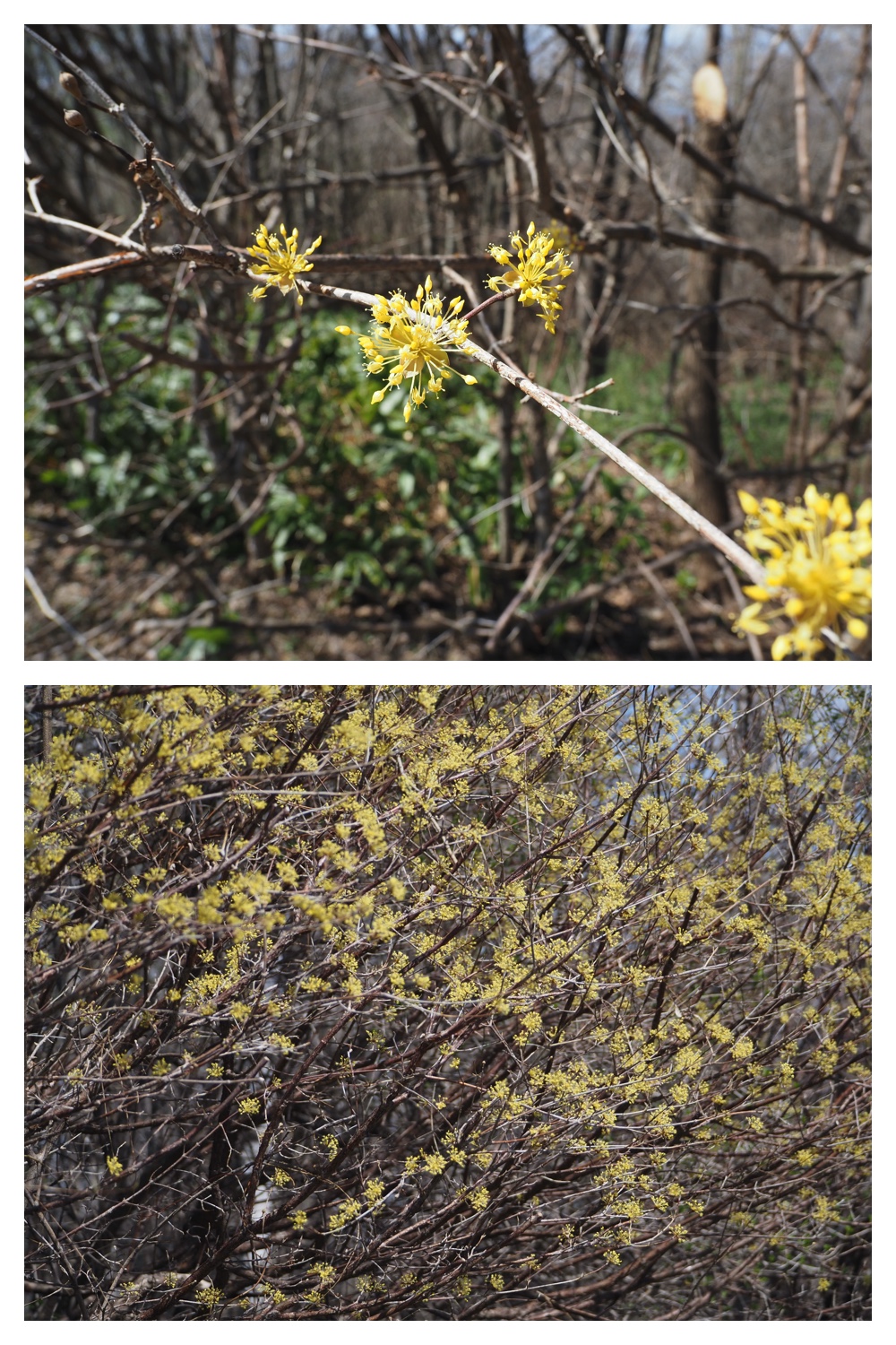 Hills_230422_17