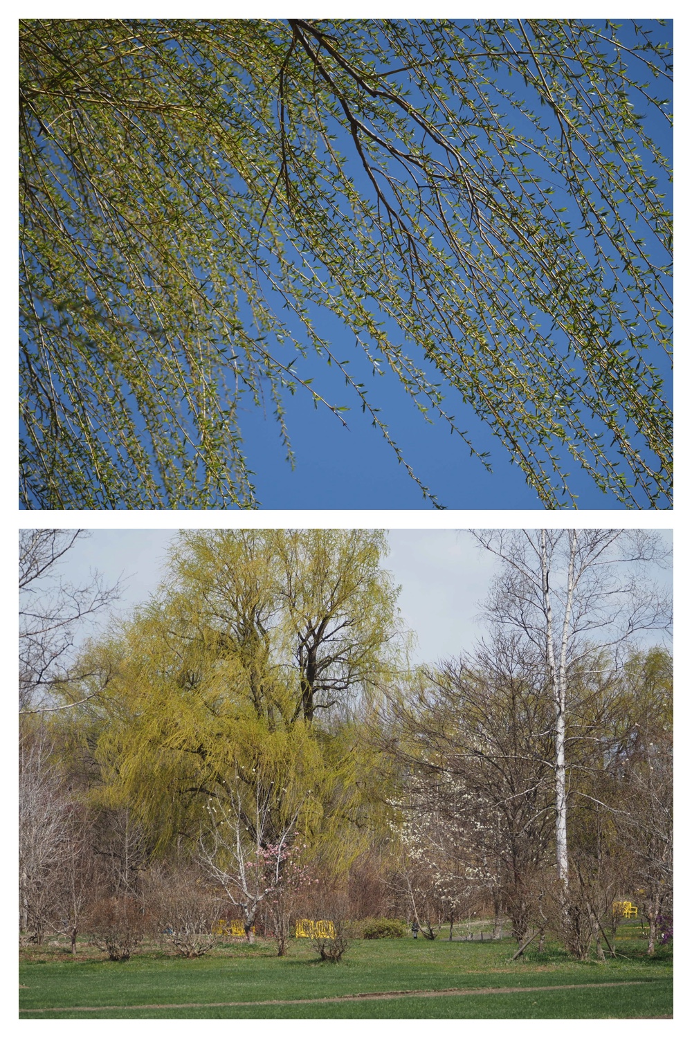 Hills_230422_19