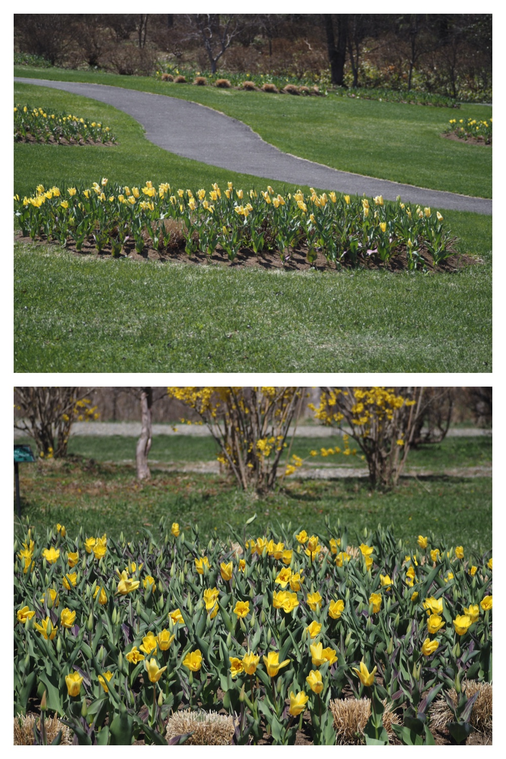 Hills_230422_23