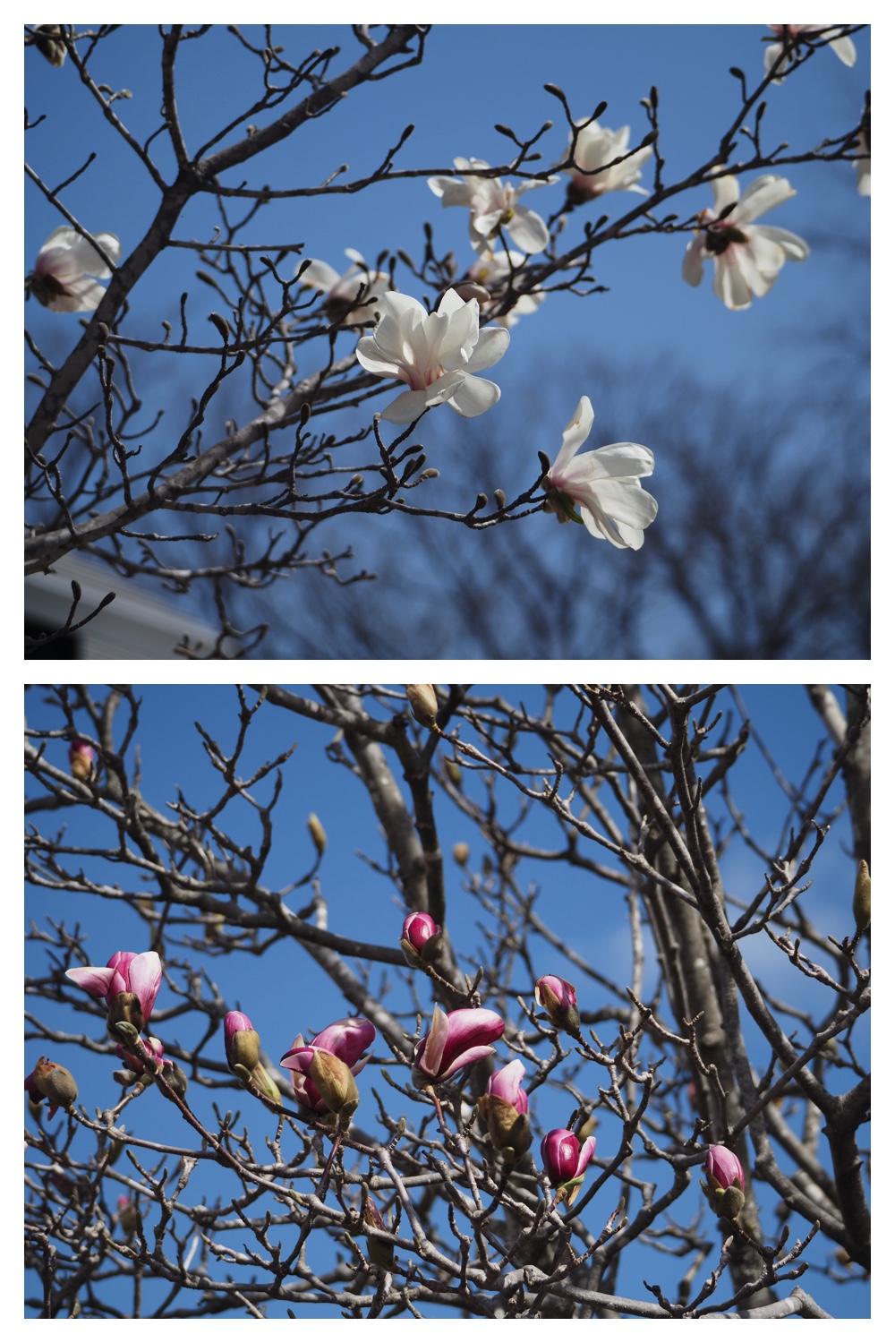 Hills_230422_8
