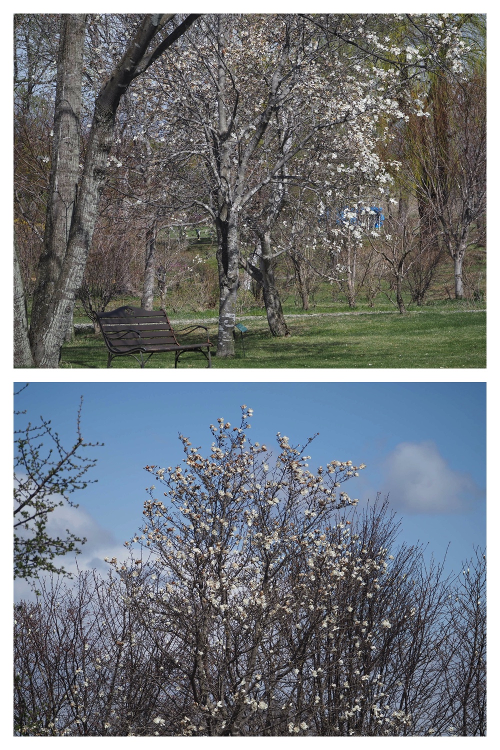 Hills_230422_9