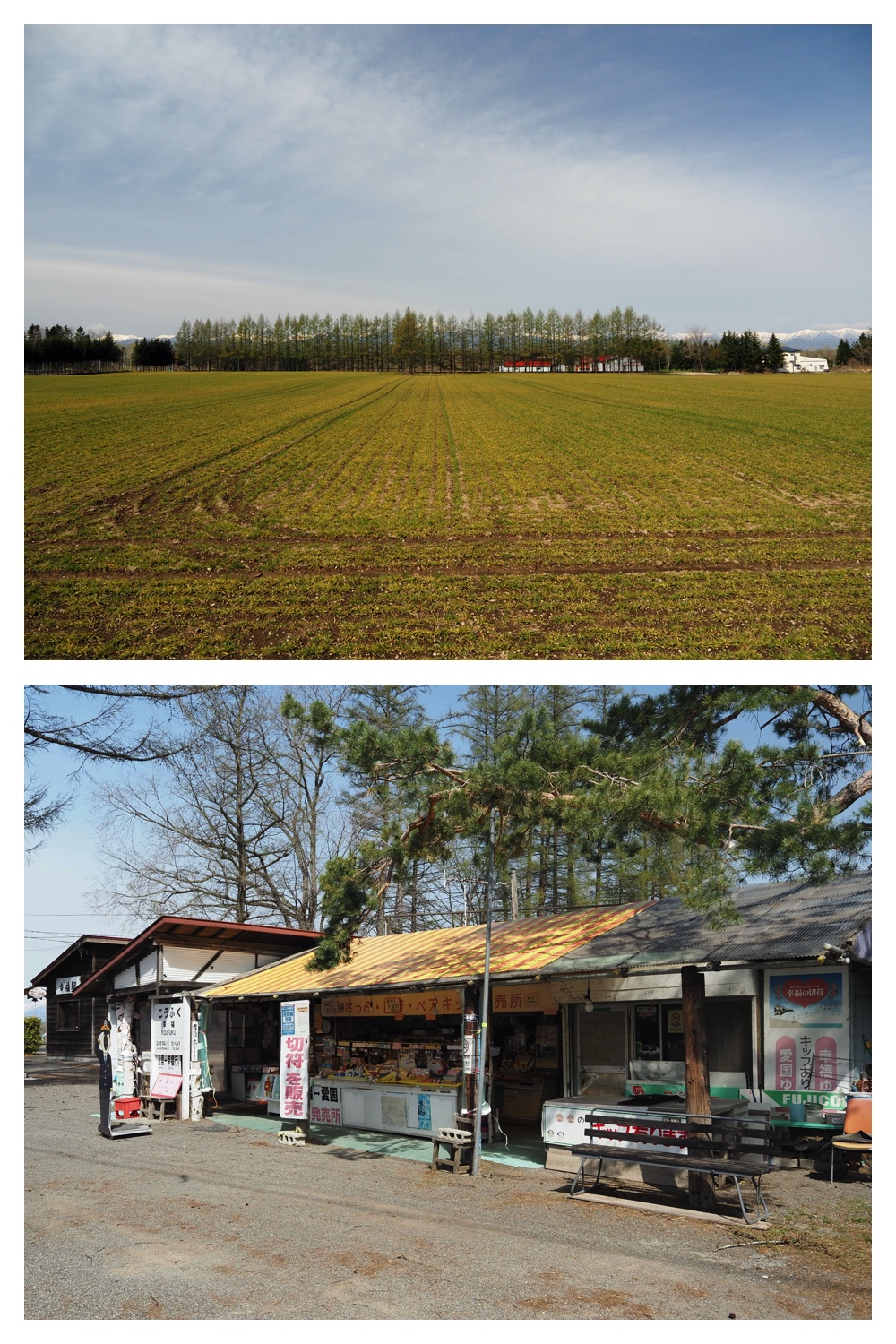 Nakasatsu_230428_7
