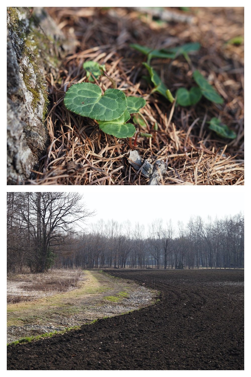 prouts_230410_17